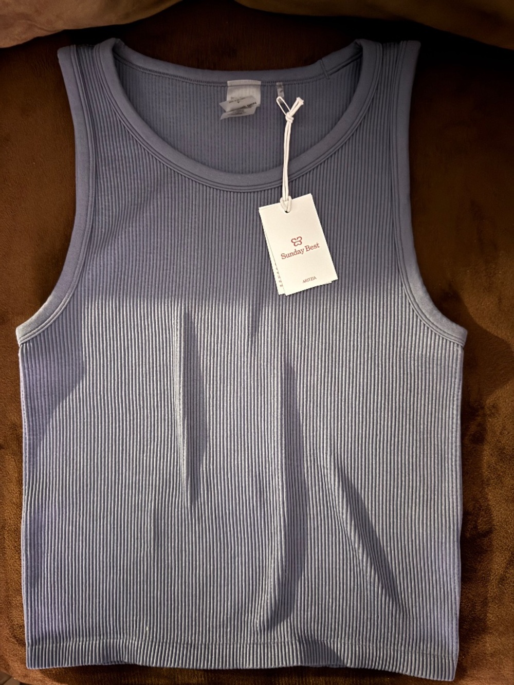 Aritzia tank top
